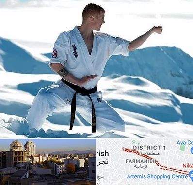 باشگاه کیوکوشین در فرمانیه 