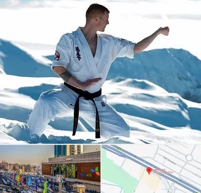 باشگاه کیوکوشین در لاله پارک تبریز