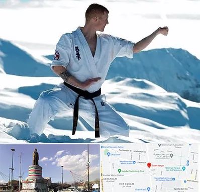 باشگاه کیوکوشین در کارگر جنوبی 