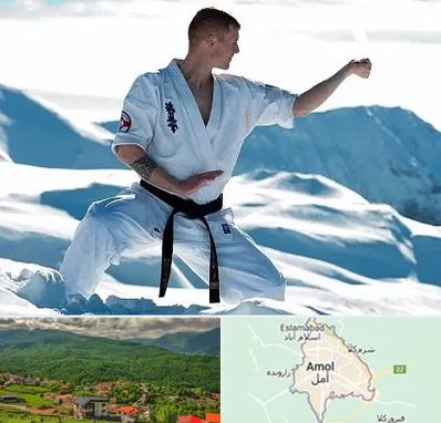 باشگاه کیوکوشین در آمل