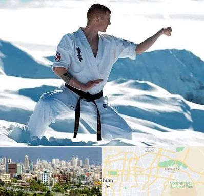 باشگاه کیوکوشین در شرق تهران 