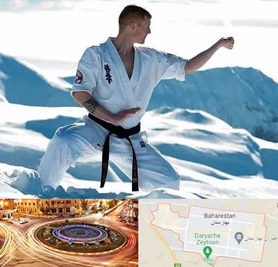 باشگاه کیوکوشین در بهارستان