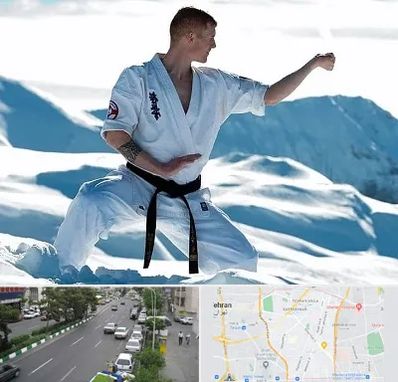 باشگاه کیوکوشین در ستارخان 