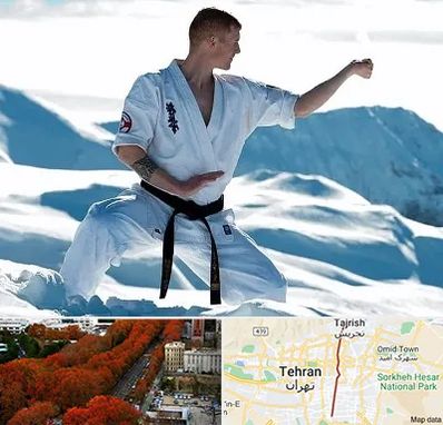 باشگاه کیوکوشین در ولیعصر 