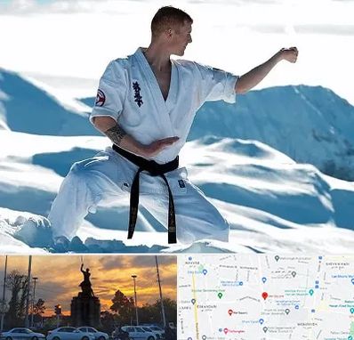 باشگاه کیوکوشین در میدان حر 