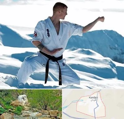 باشگاه کیوکوشین در کردان