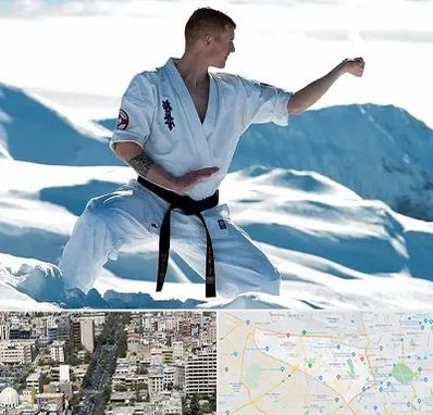 باشگاه کیوکوشین در منطقه 18 تهران 