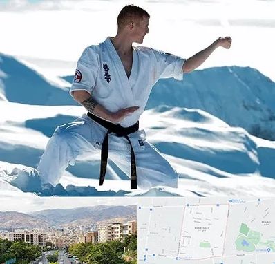 باشگاه کیوکوشین در خانی آباد 