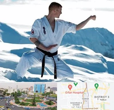 باشگاه کیوکوشین در ونک 