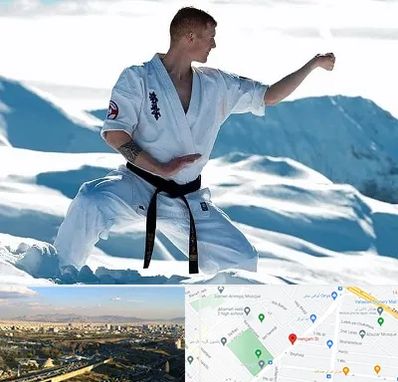 باشگاه کیوکوشین در هنگام 