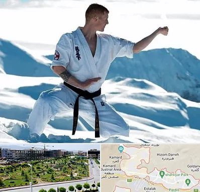 باشگاه کیوکوشین در پردیس