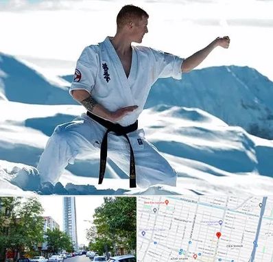 باشگاه کیوکوشین در امامت مشهد