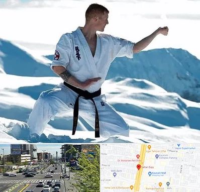 باشگاه کیوکوشین در ستاری 