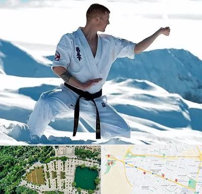 باشگاه کیوکوشین در وکیل آباد مشهد 