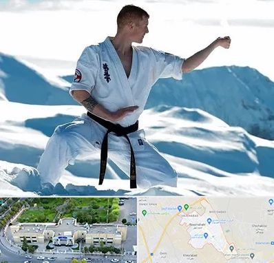 باشگاه کیوکوشین در نسیم شهر