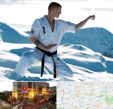 باشگاه کیوکوشین در جنت آباد تهران 