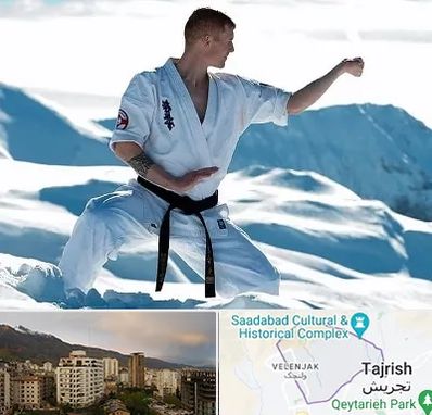 باشگاه کیوکوشین در زعفرانیه 