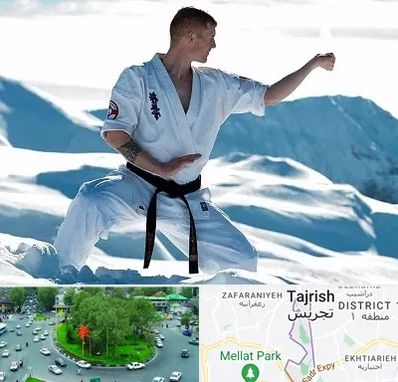 باشگاه کیوکوشین در تجریش 