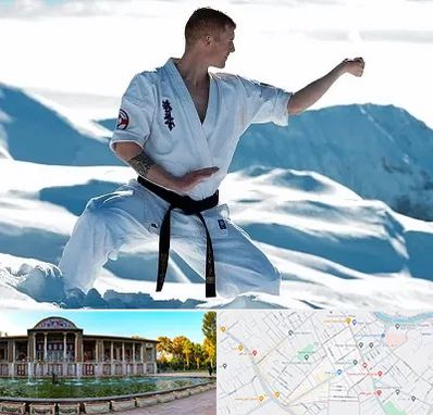 باشگاه کیوکوشین در عفیف آباد شیراز