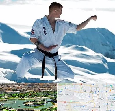 باشگاه کیوکوشین در منطقه 9 تهران 