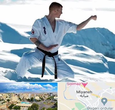 باشگاه کیوکوشین در میانه