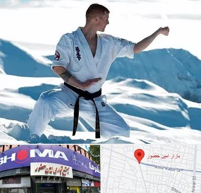 باشگاه کیوکوشین در امین حضور