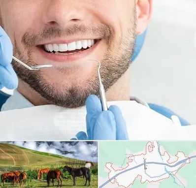 دندانپزشکی شبانه روزی در تالش