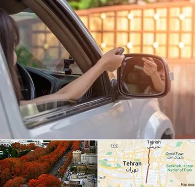 کپی ریموت پارکینگ در ولیعصر 