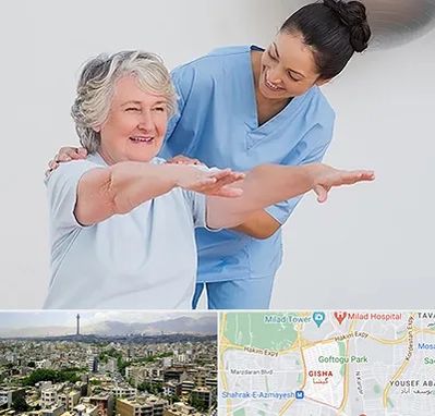 فیزیوتراپی در گیشا