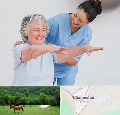 فیزیوتراپی در چمستان