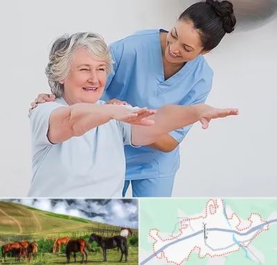 فیزیوتراپی در تالش