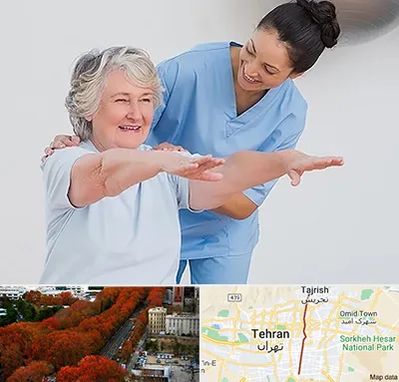 فیزیوتراپی در ولیعصر