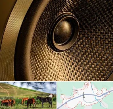 اجاره باند در تالش