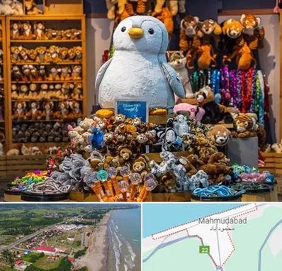 کادو فروشی در محمودآباد