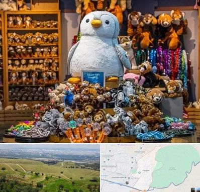 کادو فروشی در سوهانک