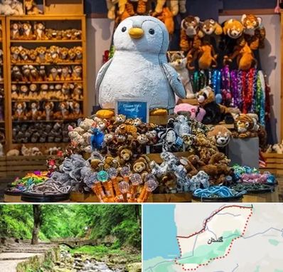 کادو فروشی در گلستان