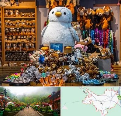 کادو فروشی در فومن