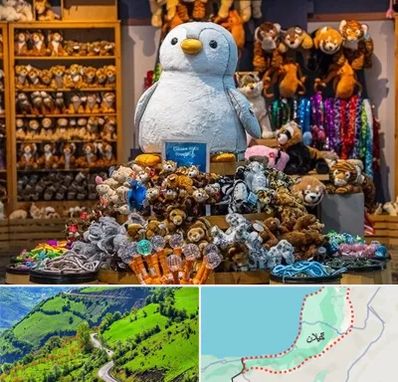 کادو فروشی در گیلان