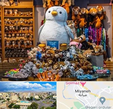 کادو فروشی در میانه