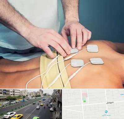 فیزیوتراپیست در خیابان دامپزشکی