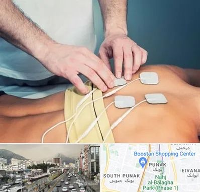 فیزیوتراپیست در پونک