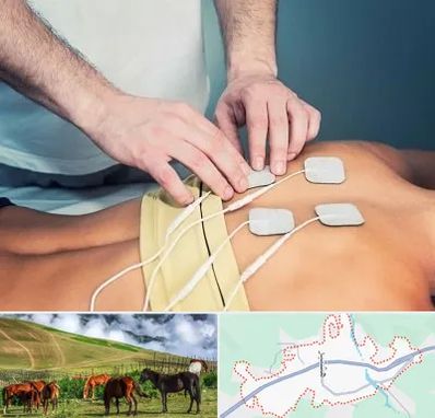 فیزیوتراپیست در تالش