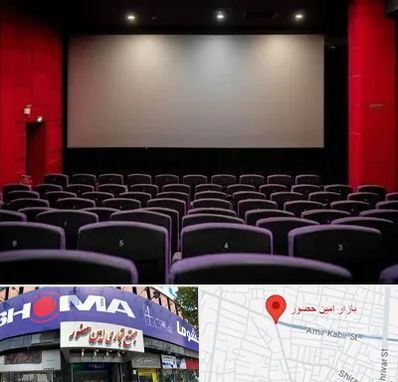 سینما در امین حضور