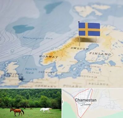 وکیل مهاجرت به سوئد در چمستان