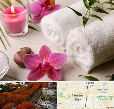 ماساژور خانم در ولیعصر 