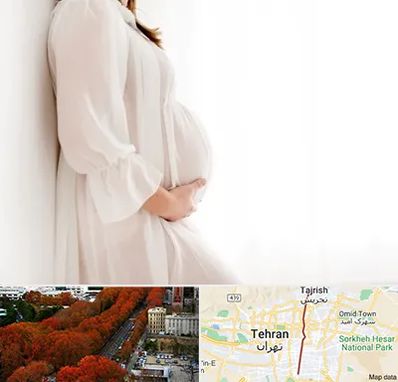 فروشگاه لباس بارداری در ولیعصر 