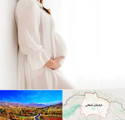 فروشگاه لباس بارداری در خراسان شمالی