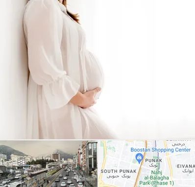 فروشگاه لباس بارداری در پونک 