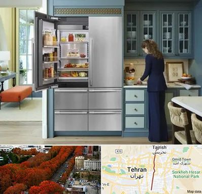 فروش اقساطی یخچال در ولیعصر 