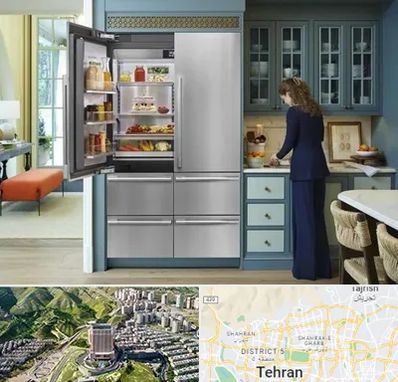 فروش اقساطی یخچال در شمال تهران 
